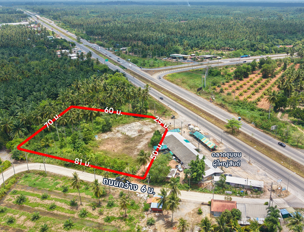 For sale: 3 rai of vacant land @ Khlong Noi. Location near Arter Seafood. 6.XX MB*/rai.