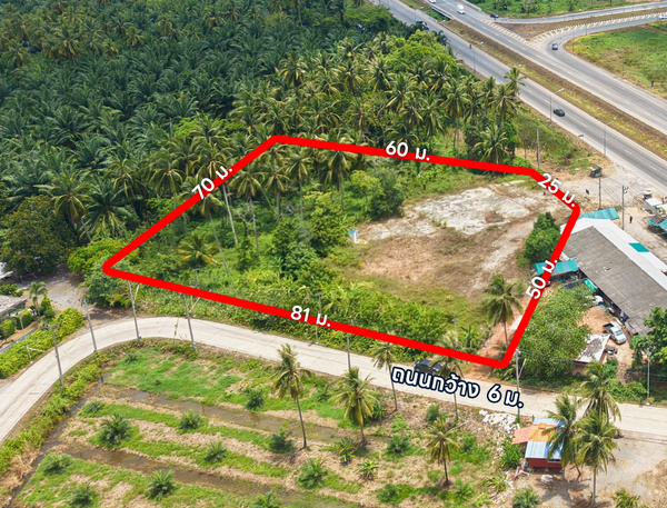 For sale: 3 rai of vacant land @ Khlong Noi. Location near Arter Seafood. 6.XX MB*/rai.