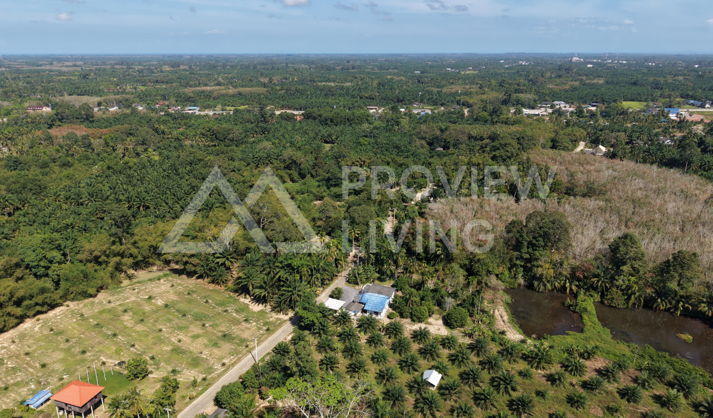 [ขายด่วน] ที่ดินติดคลองคลองไชยา 3 ไร่ 3 งาน 81.0 ตารางวา ราคา 780,000 เท่านั้น