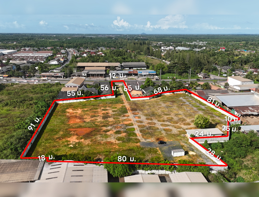 [ขายด่วน] ที่ดินเปล่า 9 ไร่กว่า โซนท่าทอง กาญจนดิษฐ์ ติดถนนเส้นสุราษฎร์–นครศรีฯ (401) ใกล้ โตโยต้าท่าทองใหม่เพียง 200 เมตร