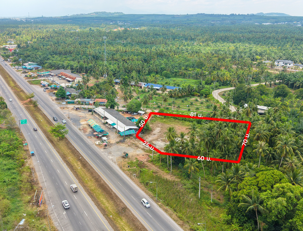 For sale: 3 rai of vacant land @ Khlong Noi. Location near Arter Seafood. 6.XX MB*/rai.