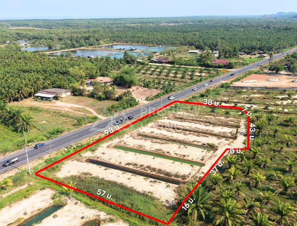 ขายที่ดิน ไชยา สุราษฎร์ธานี 3 ไร่ 76 ตร.วา ใกล้โรงเรียนบ้านไทรงาม