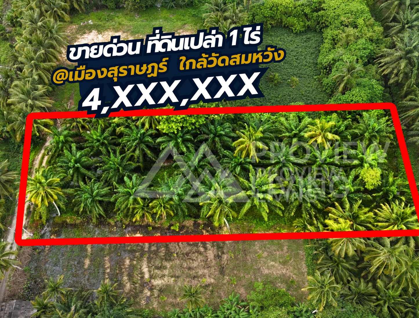 [ขายด่วน] ที่ดินใกล้วัดสมหวัง 1ไร่