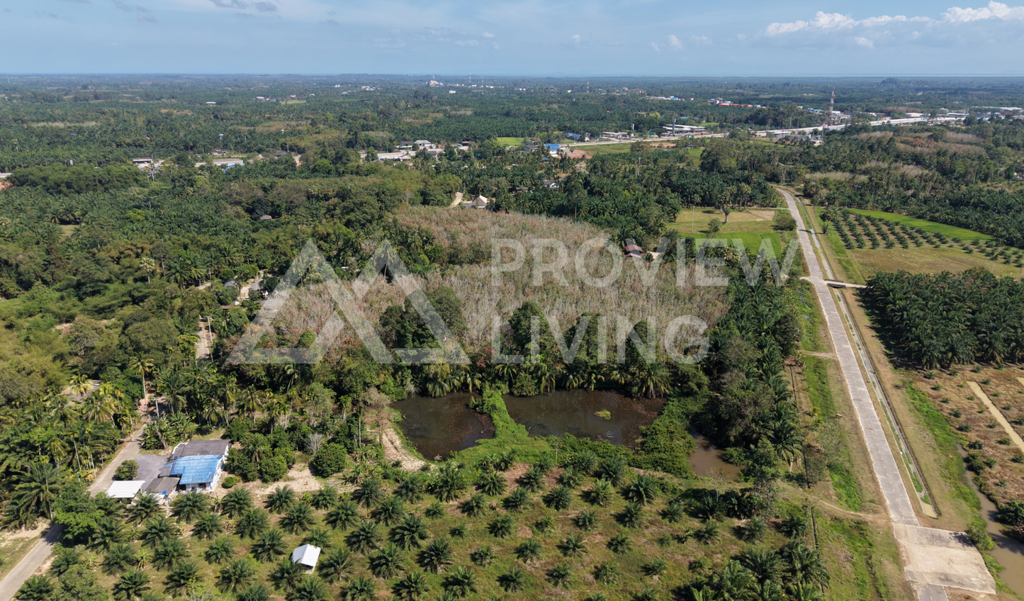 [ขายด่วน] ที่ดินติดคลองคลองไชยา 3 ไร่ 3 งาน 81.0 ตารางวา ราคา 780,000 เท่านั้น