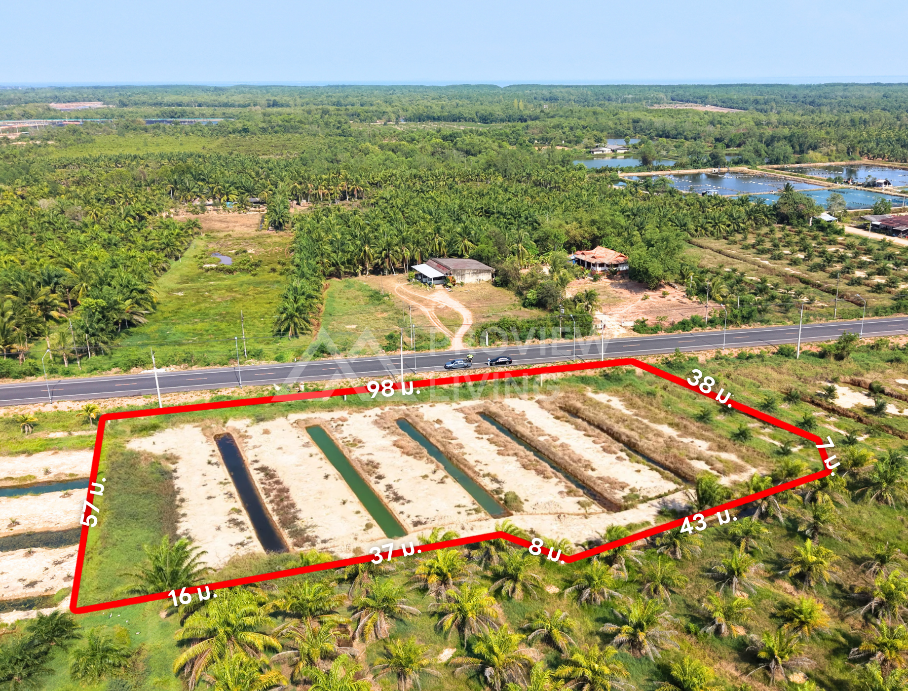 ขายที่ดิน ไชยา สุราษฎร์ธานี 3 ไร่ 76 ตร.วา ใกล้โรงเรียนบ้านไทรงาม