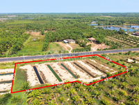 ขายที่ดิน ไชยา สุราษฎร์ธานี 3 ไร่ 76 ตร.วา ใกล้โรงเรียนบ้านไทรงาม
