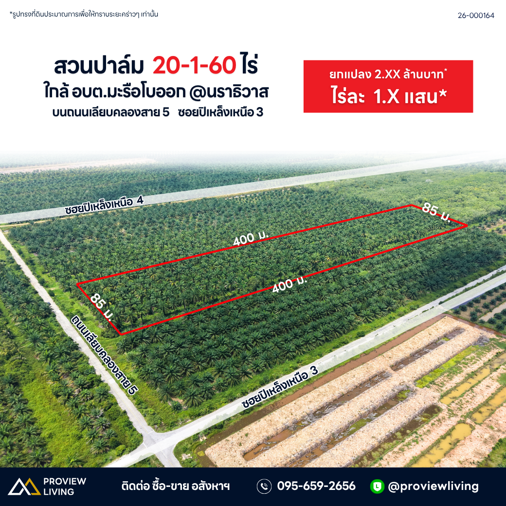 ขายสวนปาล์ม 20 ไร่ ใกล้อบต.มะรือโบออก @นราธิวาส บนถนนเลียบคลองสาย 5 ซอยปิเหล็ก ไร่ละ 1.X แสน ยกแปลง 2.XX ล้านบาท