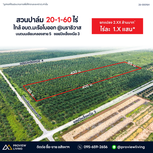 ขายสวนปาล์ม 20 ไร่ ใกล้อบต.มะรือโบออก @นราธิวาส บนถนนเลียบคลองสาย 5 ซอยปิเหล็ก ไร่ละ 1.X แสน ยกแปลง 2.XX ล้านบาท