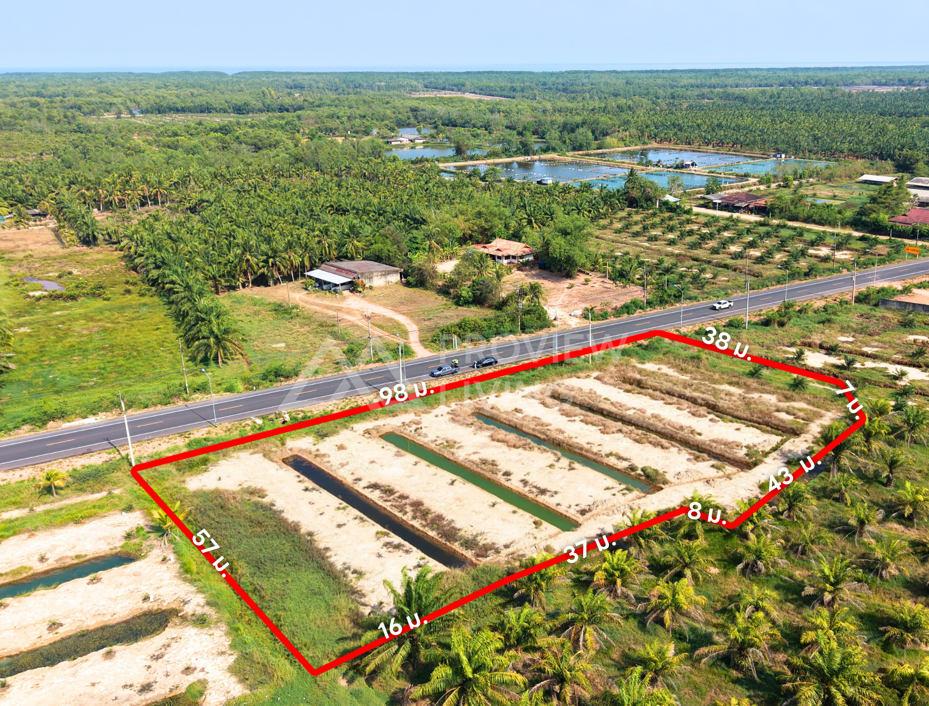 ขายที่ดิน ไชยา สุราษฎร์ธานี 3 ไร่ 76 ตร.วา ใกล้โรงเรียนบ้านไทรงาม