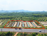 ขายที่ดิน ไชยา สุราษฎร์ธานี 3 ไร่ 76 ตร.วา ใกล้โรงเรียนบ้านไทรงาม