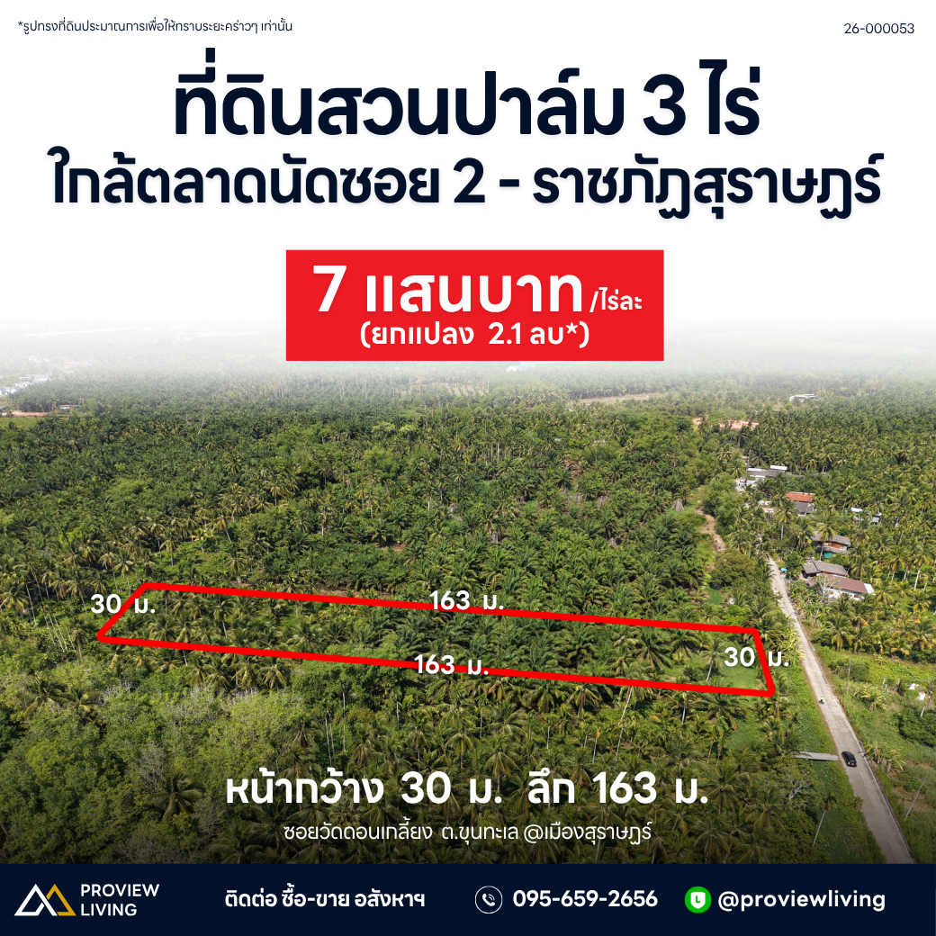 ที่ดินสวนปาล์ม 3 ไร่ ใกล้ตลาดนัดซอย 2 - ราชภัฏสุราษฏร์ 26-000053 หน้ากว้าง  30  ม.   ลึก  163  ม. ซอยวัดดอนเกลี้ยง  ต.ขุนทะเล @เมืองสุราษฏร์