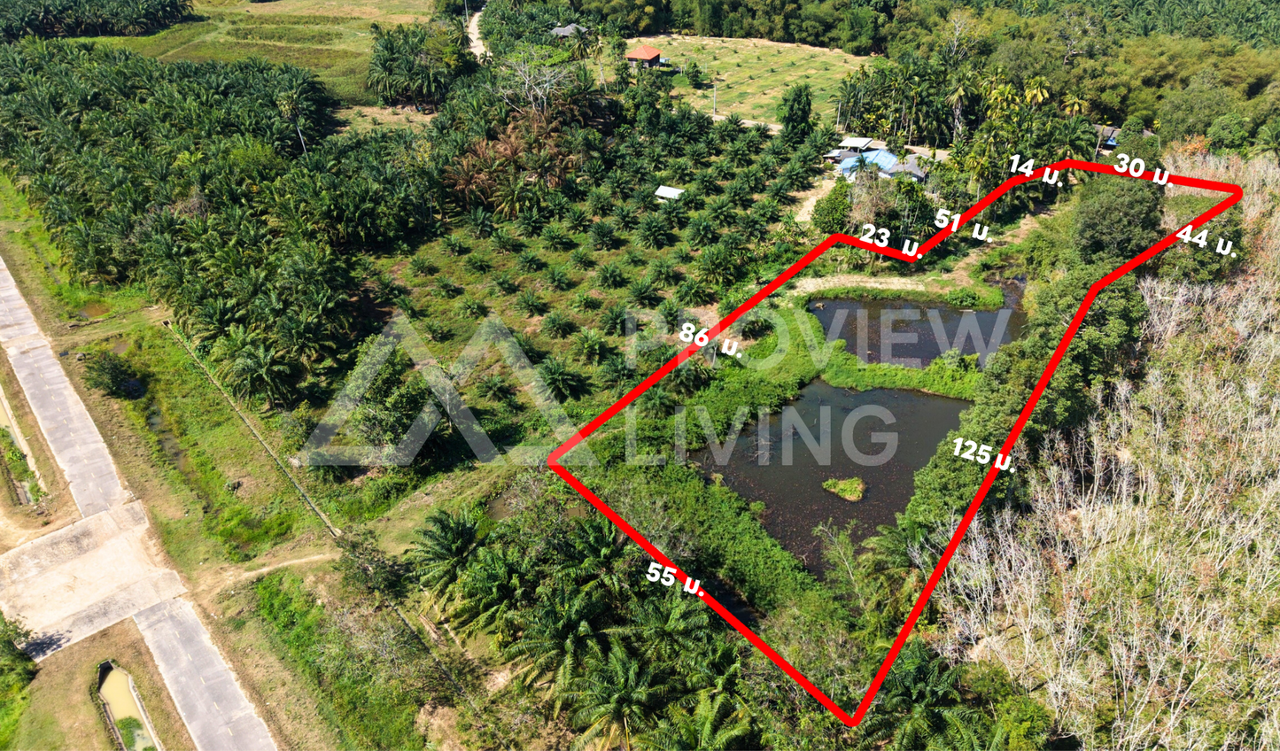 ที่ดิน + บ่อน้ำ  3  ไร่กว่า ติดถนน 2 ด้าน  ต.เวียง-ไชยา 26-000027