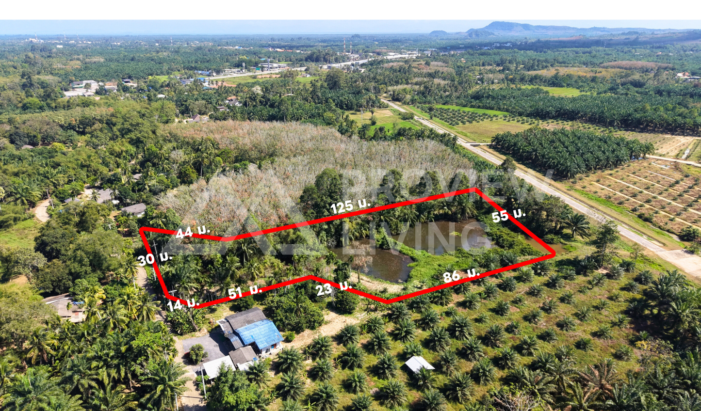 ที่ดิน + บ่อน้ำ  3  ไร่กว่า ติดถนน 2 ด้าน  ต.เวียง-ไชยา 26-000027