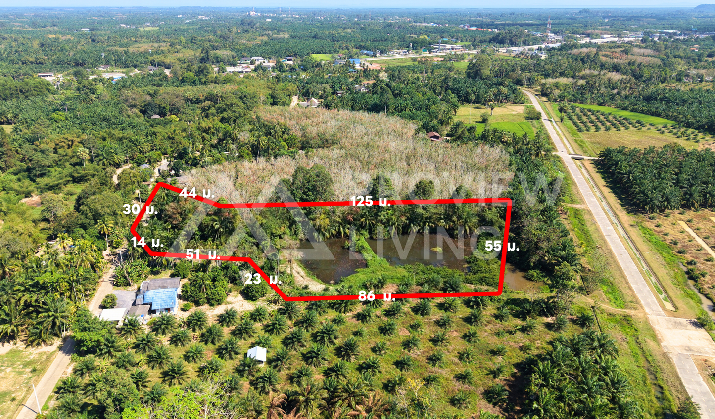 ที่ดิน + บ่อน้ำ  3  ไร่กว่า ติดถนน 2 ด้าน  ต.เวียง-ไชยา 26-000027