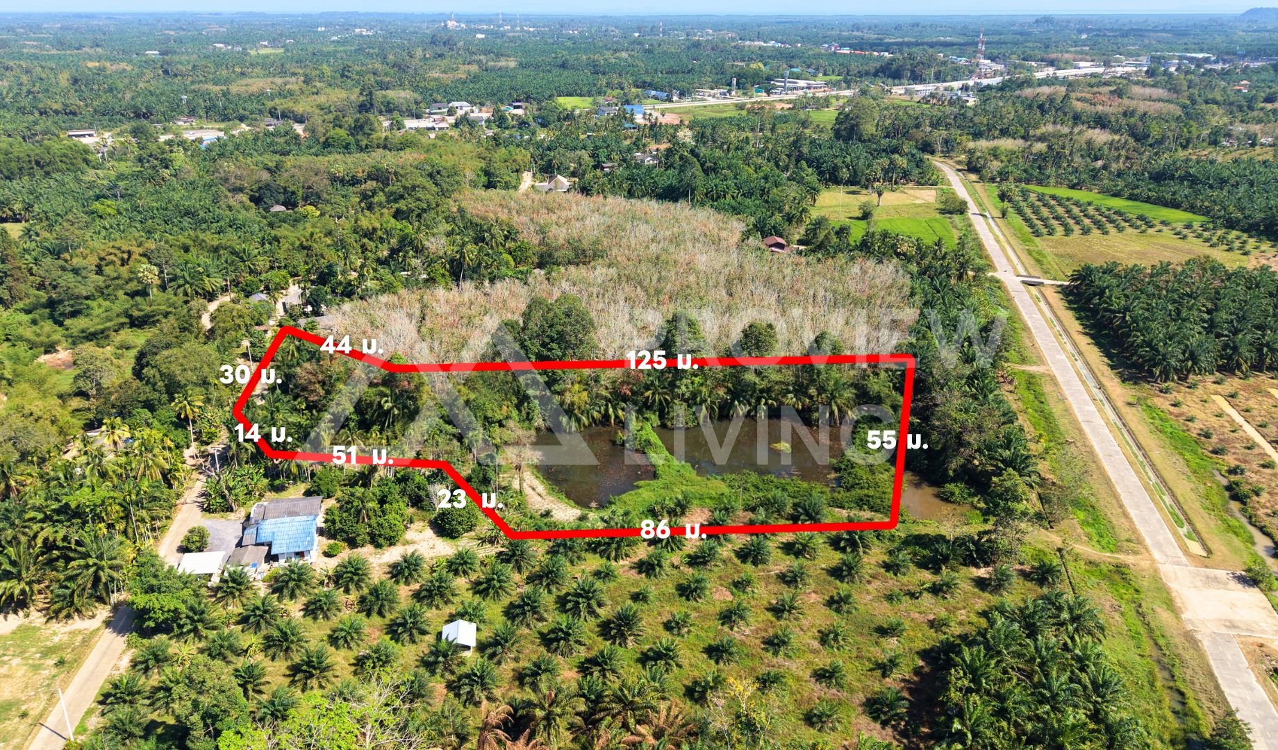 ที่ดิน + บ่อน้ำ  3  ไร่กว่า ติดถนน 2 ด้าน  ต.เวียง-ไชยา 26-000027