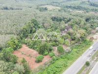 Urgent sale: Land in Surat Thani with resort, 7 rai 2 ngan 58 square wah, near Suan Mokkhaphalaram Temple, near Chaiya Highway, and near Lemad Subdistrict Health Promoting Hospital.