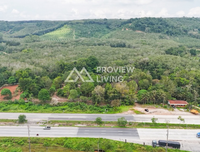 Urgent sale: Land in Surat Thani with resort, 7 rai 2 ngan 58 square wah, near Suan Mokkhaphalaram Temple, near Chaiya Highway, and near Lemad Subdistrict Health Promoting Hospital.