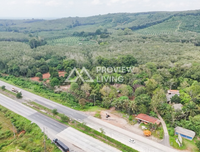 Urgent sale: Land in Surat Thani with resort, 7 rai 2 ngan 58 square wah, near Suan Mokkhaphalaram Temple, near Chaiya Highway, and near Lemad Subdistrict Health Promoting Hospital.