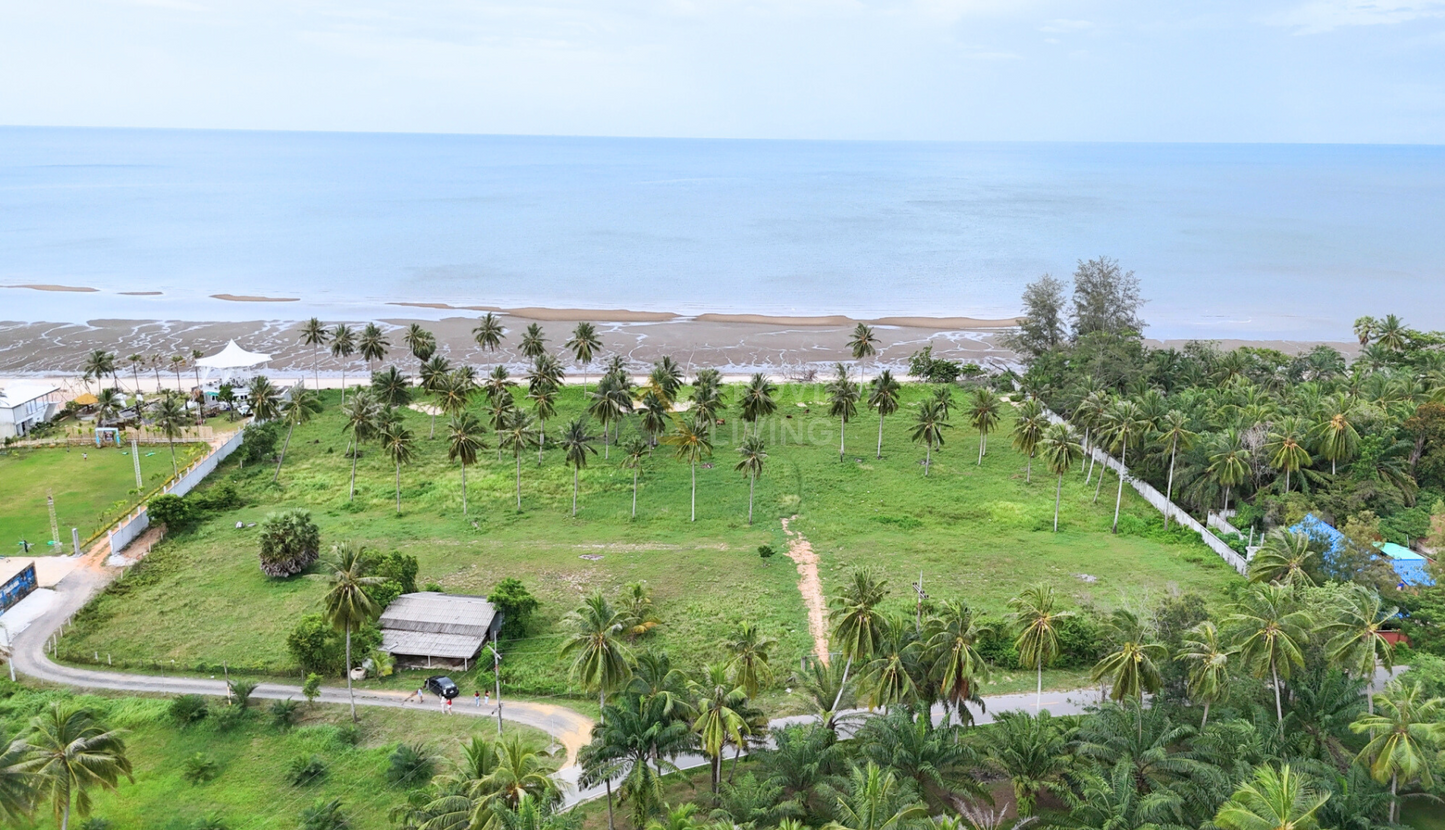 [ขายด่วน!!] ที่ดิน ติดทะเล 11 ไร่ วิวพาโนรามา เหมาะลงทุนรีสอร์ท-พูลวิลล่า หน้ากว้าง 151 ต.วัง อ.ท่าชนะ สุราษฎร์ธานี