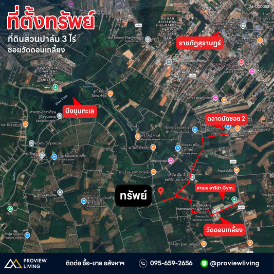 ที่ดินสวนปาล์ม 3 ไร่ ใกล้ตลาดนัดซอย 2 - ราชภัฏสุราษฏร์ 26-000053 หน้ากว้าง  30  ม.   ลึก  163  ม. ซอยวัดดอนเกลี้ยง  ต.ขุนทะเล @เมืองสุราษฏร์