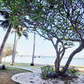 Golden Coast Phase 1 Siracha 5F Condo, Sea View, Chonburi, 1 Bed, 1 Bath