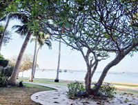 Golden Coast Phase 1 Siracha 5F Condo, Sea View, Chonburi, 1 Bed, 1 Bath