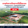 Factory Business for Sale in Khao Hua Khwai, Phunphin, Surat Thani