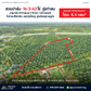 ขายสวนปาล์ม 16-3-63 ไร่ @ท่าสน ใกล้รร.ศิริสาธิต แยกทุ่งใหญ่ ไร่ละ 8.X แสนบาท ยกแปลง 13.5X ล้านบาท
