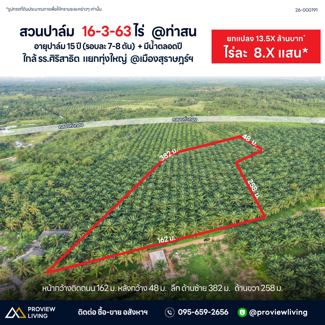 ขายสวนปาล์ม 16-3-63 ไร่ @ท่าสน ใกล้รร.ศิริสาธิต แยกทุ่งใหญ่ ไร่ละ 8.X แสนบาท ยกแปลง 13.5X ล้านบาท