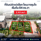 [For Sale] BS-04 Land size 268.7 sq.wa. 39 m. wide frontage. Opposite the boat noodle shop. Special discount for purchasing the entire plot. Suratthani.