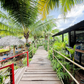 Urgent Sale! Ratthana Thachang Orchard, Surat Thani, 10 rai, 1 ngan, 76.0 sq. wa., per rai