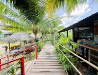 Urgent Sale! Ratthana Thachang Orchard, Surat Thani, 10 rai, 1 ngan, 76.0 sq. wa., per rai