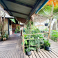 Urgent Sale! Ratthana Thachang Orchard, Surat Thani, 10 rai, 1 ngan, 76.0 sq. wa., per rai