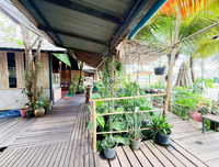 Urgent Sale! Ratthana Thachang Orchard, Surat Thani, 10 rai, 1 ngan, 76.0 sq. wa., per rai