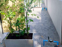Business for sale: 5 rental rooms + fully occupied tenants, income 17,000 per month. Location: behind Wat Wiang @Chaiya.
