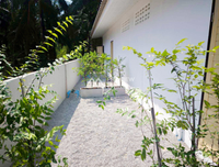 Business for sale: 5 rental rooms + fully occupied tenants, income 17,000 per month. Location: behind Wat Wiang @Chaiya.
