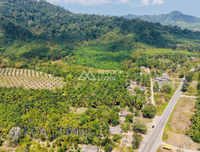 ขายที่ดินสวน งามสวัสดิ์ | ทำเลดี ธรรมชาติสมบูรณ์ ติดลำธาร ทางเข้า-ออกได้ถึง 4 ทาง และ ติดทางสาธารณะ