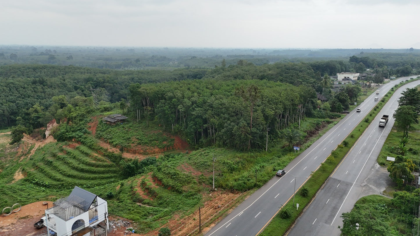 [ขายด่วน] ที่ดินกม 25 3 ไร่ 3 งาน 95.5 ตารางวา