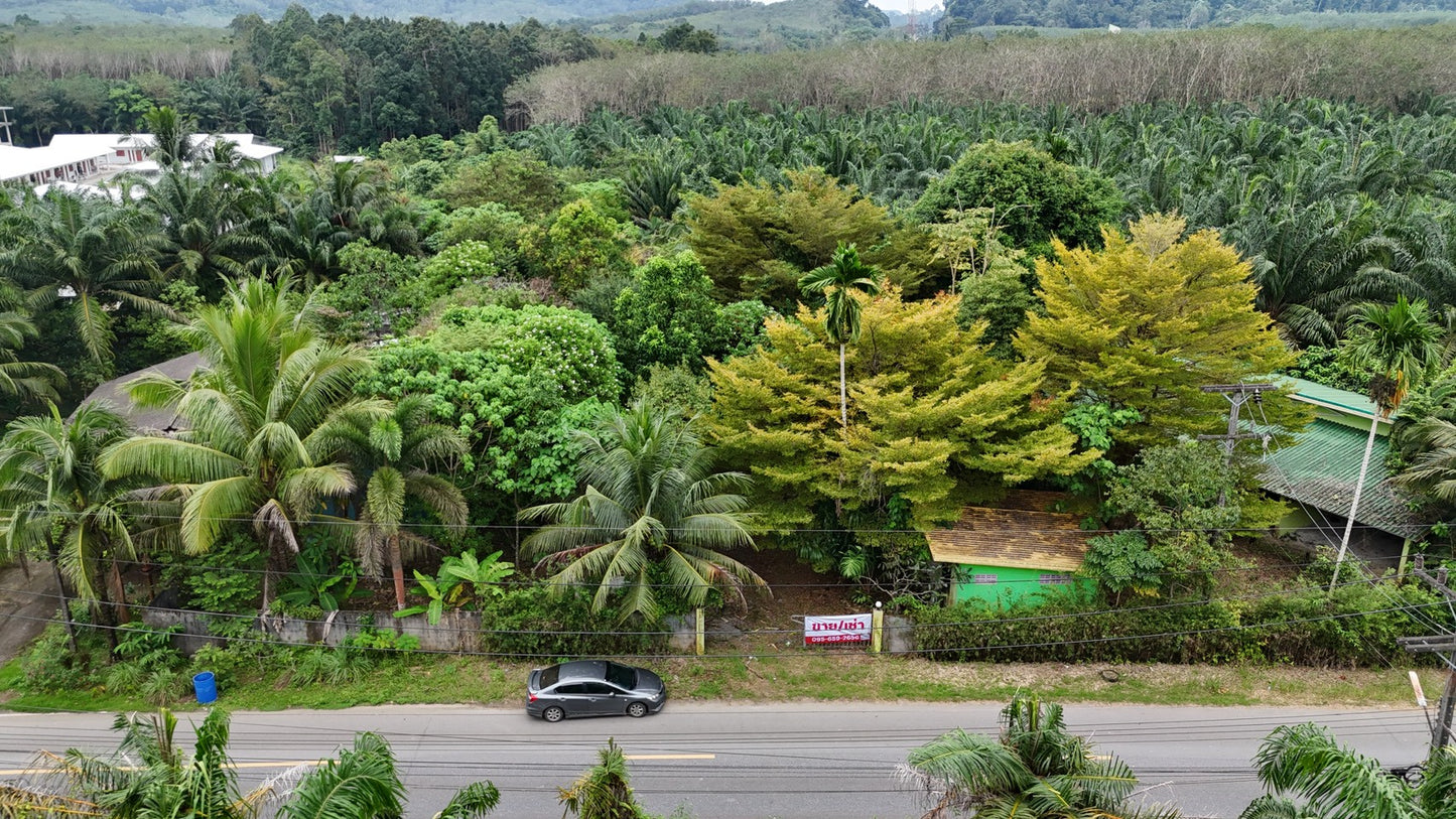 [ขายด่วน] ที่ดินพร้อมรีสอร์ท พังงา 1 ไร่ 3 งาน 90.3  ตารางวา