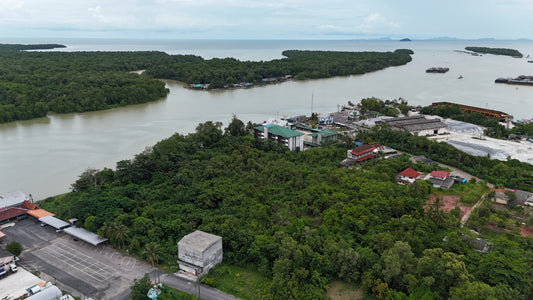 [ขายด่วน] ที่ดิน ราชาเฟอร์รี ขนาด 10 ไร่ 2 งาน 28.1 ตารางวา หน้ากว้าง 177 ม.