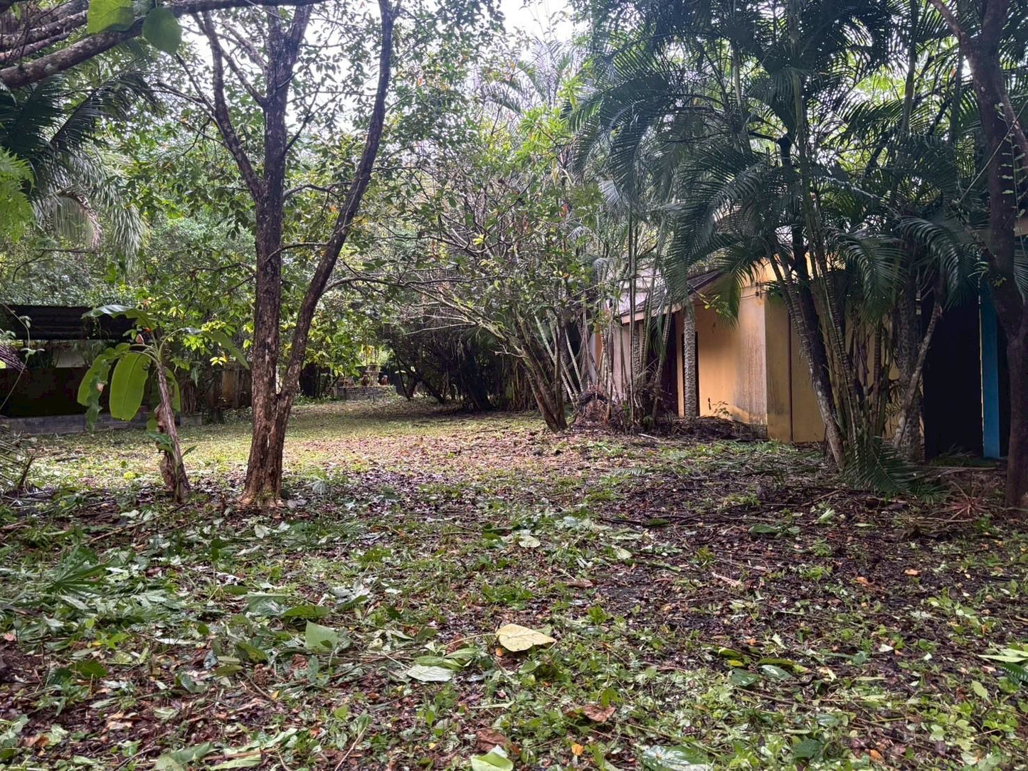 [ขายด่วน] ที่ดินพร้อมรีสอร์ท พังงา 1 ไร่ 3 งาน 90.3  ตารางวา