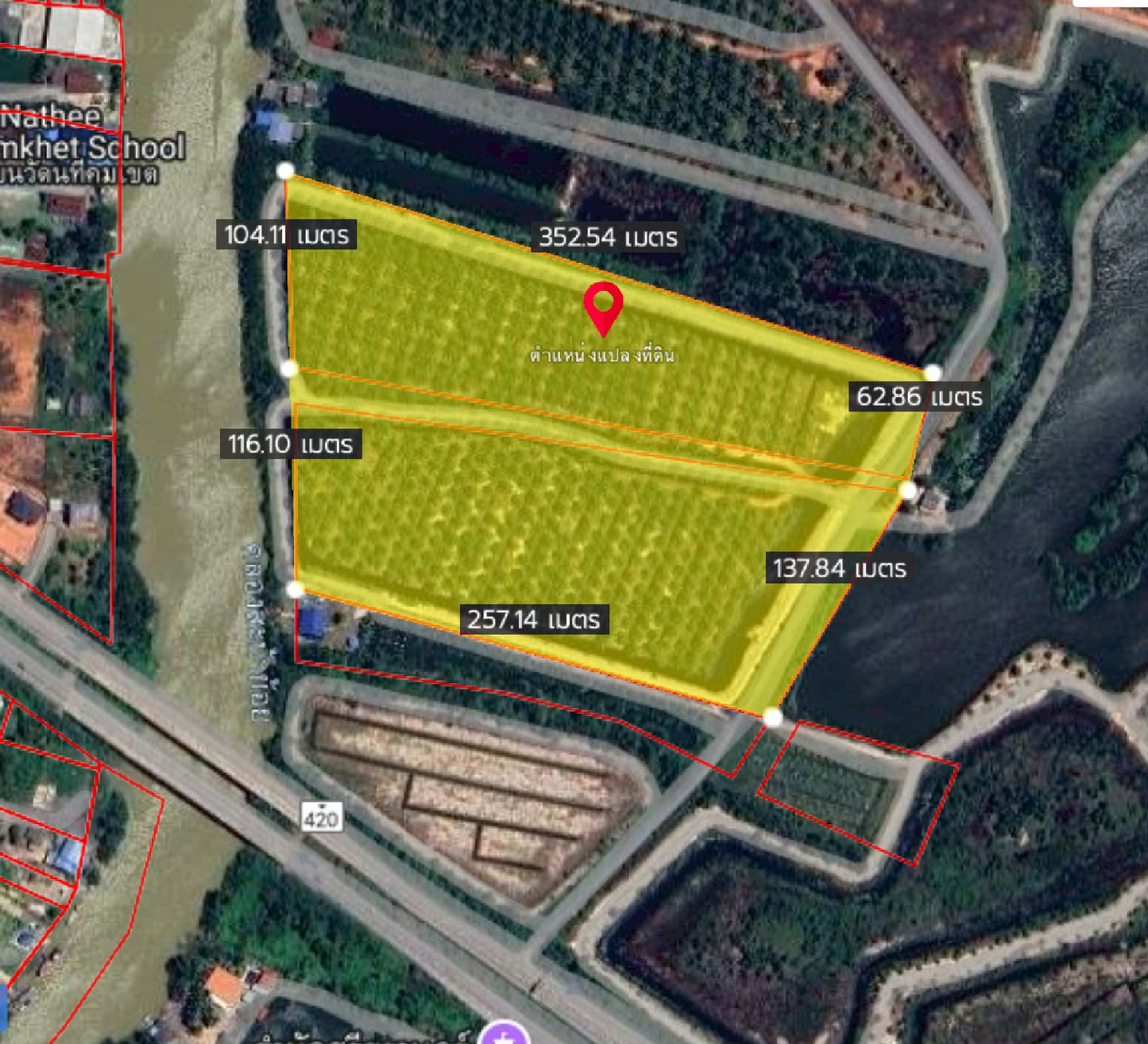 [ขายด่วน] ที่ดินสวนปาล์ม 8 ปี 700 ต้น ใกล้สะพานศรีสุราษฏร์ 35 ไร่