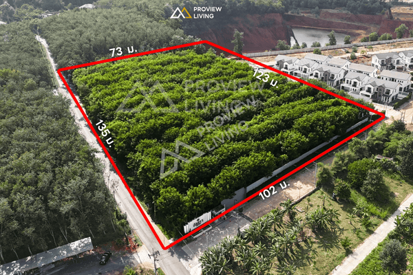 Urgent sale: Vacant land, 7 rai 98.1 sq. wa, in the Talad Kluay area with city views, near Surat Thani Bus Terminal, near Central Surat Thani, and near Lotus Surat Thani. / Rai