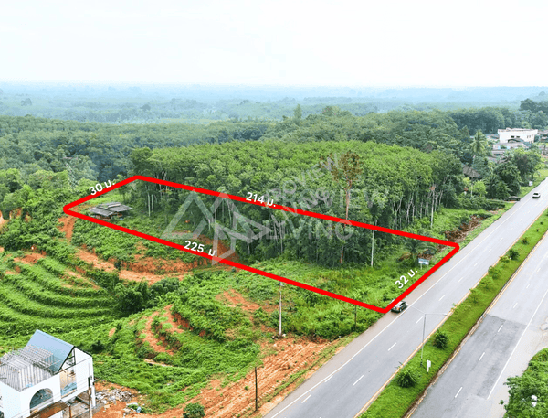 Urgent Sale: Vacant Land in Surat Thani, 3 Rai 3 Ngan 95.5 Sq. Wah, Km. 25 Zone, Near Bang Maduea Subdistrict Administrative Organization