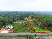 Urgent Sale: Vacant Land in Surat Thani, 3 Rai 3 Ngan 95.5 Sq. Wah, Km. 25 Zone, Near Bang Maduea Subdistrict Administrative Organization