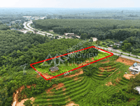 Urgent Sale: Vacant Land in Surat Thani, 3 Rai 3 Ngan 95.5 Sq. Wah, Km. 25 Zone, Near Bang Maduea Subdistrict Administrative Organization