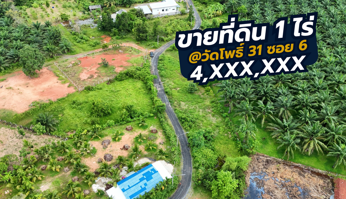 [ขายด่วน] ที่ดินเปล่าถมแล้ว 1 ไร่ ทำเลเมืองสุราษฎร์ธานี วัดโพธิ์ 31 ซอย 6 (ซอยนางแอ่นรีสอร์ท)