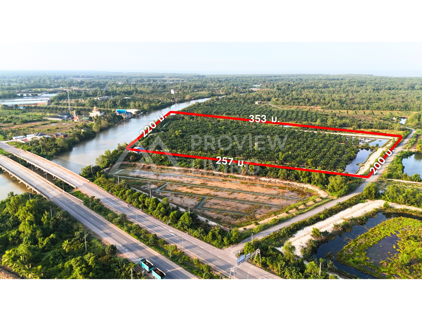 [ขายด่วน] ที่ดินสวนปาล์ม ปาล์มอายุ 8 ปี 700 ต้น ขนาด 35 ไร่ ใกล้สะพานศรีสุราษฏร์ แปลงสวย ติดคลองสะบ้าย้อย คลองฉนาก สุราษฎร์ธานี