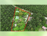 Land for sale with Baan Yuan Garden Resort, 17 rooms, 2.8 acres, Tak Daet Subdistrict, Mueang Phang Nga District, 65 meters wide, price 4.XX million THB