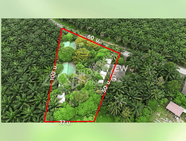 Land for sale with Baan Yuan Garden Resort, 17 rooms, 2.8 acres, Tak Daet Subdistrict, Mueang Phang Nga District, 65 meters wide, price 4.XX million THB